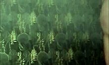 maîtresse kantalie humiliates esclave ebed at gloryhole