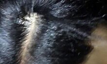 teen sucking a big cock casually