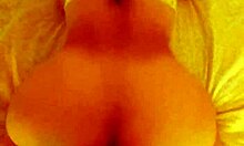 latina roommate receives doggystyle sex delicious new video