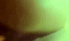 nigarchrist update 1292 petal 20250601 194031 jun 01 2025