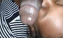 Ebony Amateur Gives Sloppy Blowjob