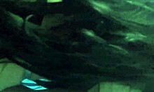 Me Follo A Mi Hermanastra En La Carpa Del Camping