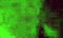 Steve And Girlfriend Verification Clip With Milf Friend