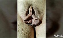 Creampie chronicles with Nichole Knockers' big natural tits.