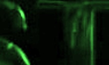 Picked Up From School And Brought Me Home Deepthroat Fitness Farting Narrow Ass Big Cock First Time Young Daddy Pussy