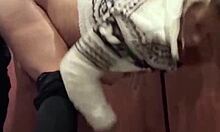 I Got Horny After the Bar and Fucked Publicly in the Elevator