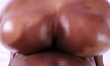 Big Ass Doggystyle Collection