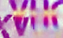 sensual teen gabily castro gets assfucked by guys then gangbanged with dap and pee