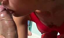 My Latin girlfriend eagerly sucking my cock