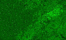 Watch this crazy 18-year-old girl pee right in her wet panties on a public beach then sunbathe like nothing happened