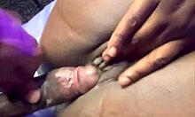 الجولة الثانية مع جي شامب، نيك كسها الرطب بقوة