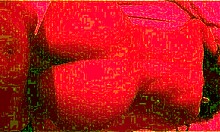 fucking hot brunette with big ass at beach pov