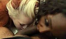 Ayla Harper and Omgianas give sultry POV blowjob.