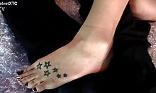 Late Harvest - Introduction