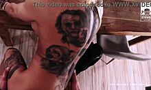 Harleen Van Hynten Blowjob Stevenshame Dating With Intense Action