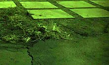 Gangbang keras hardcore kecuali kau dari zaman enam puluhan lol 😏