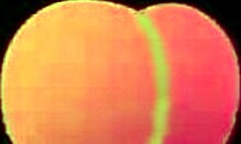 Teenie tourist Lily Ray visits Berlin for her first public fuck dates66 com full scene