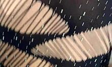 Amateur penetration filled with intense desire