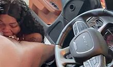 sloppy head sucking dick & licking balls compilation