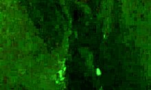 I love fucking my self