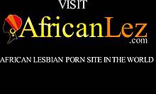 Ebony beauties kiss and suck clits sensually