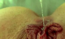 Naughty wife masturbates before work in shorts