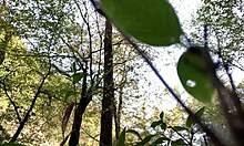 clitlicker662 update 11 img 1170 oct 11 2024 masturbation in forest