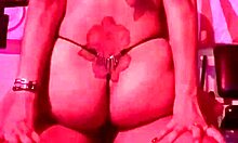 Qadesh Putita Amateur Cabalgando En El Gimnasio