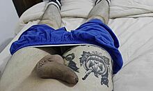 Brazilian Amateur Resting Penis