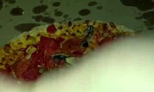 Arabic Food Fetish Compilation With Ice Cream Chocolate Pizza