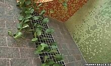 brazilian shemale babe tugs on her hard cock solo