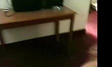 Jenna Jaymes delivers sucking and facial in 1080p archives.