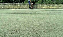 hot chubby girl fucking in the street in front of people, so wild!