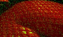 so excited he ruins my tights