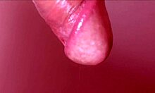 Intriguing close-up of Japanese blowjob and face fucking