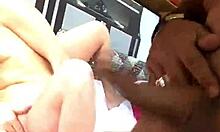 tribute to lesbians video