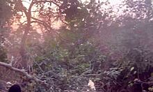 perfect boobs village girl fucked roughly in the stream by big black cock