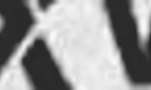 oh, i givs british teen 18+ sloppy blowjob an tit wank.