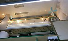 boss plays with sexy shop assistant pussy while she chats with customer 😏