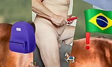 zea812 update 17 apr 13 2025