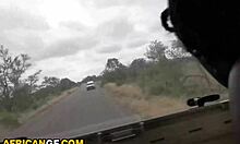 hot ebony gf gets her big black lips around my fat white cock pov