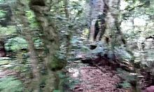 we have sex in the garden of eden and nearly got caught