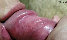 Wife Sucks And Fucks Without Condoms For Husband