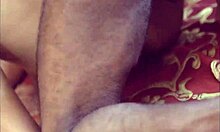 indian bhabhi sex with college devar