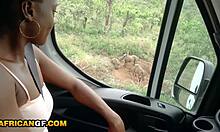 hot african girlfriend gives sloppy pov road head throat fuck at safari 😍