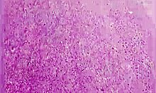 Following a mature woman on the street with skirt and thong