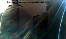 Blowjob On All Fours