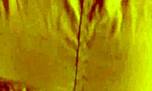 Me Follan Mi Gran Culo En Mini Falda Con Un Dildo De 20 Cm