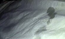 dotado gozando gostoso na punheta kingofxofficial with intense pleasure and solo release