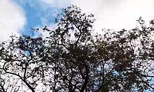 forester girl and i had passionate lesbian fuck in hut